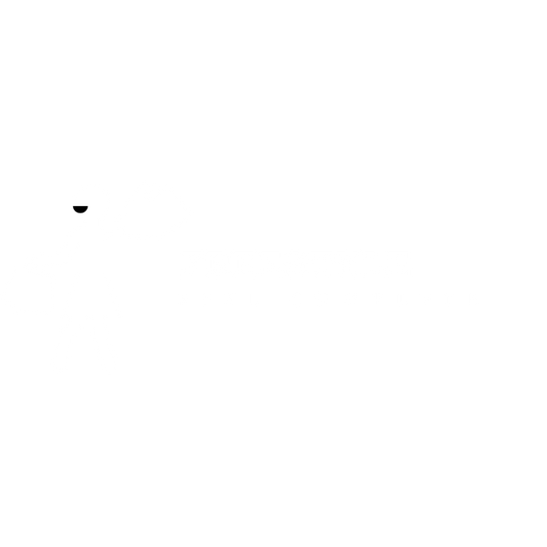 Freestyle Store